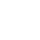 Api